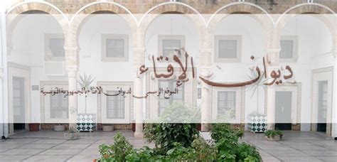 ديوان الافتاء