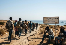 صورة تعبيرية تُجسد فكرة التحقيق (مولدة بواسطة الذكاء الاصطناعي).